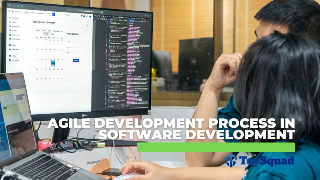 Agile Development Process in Software Development